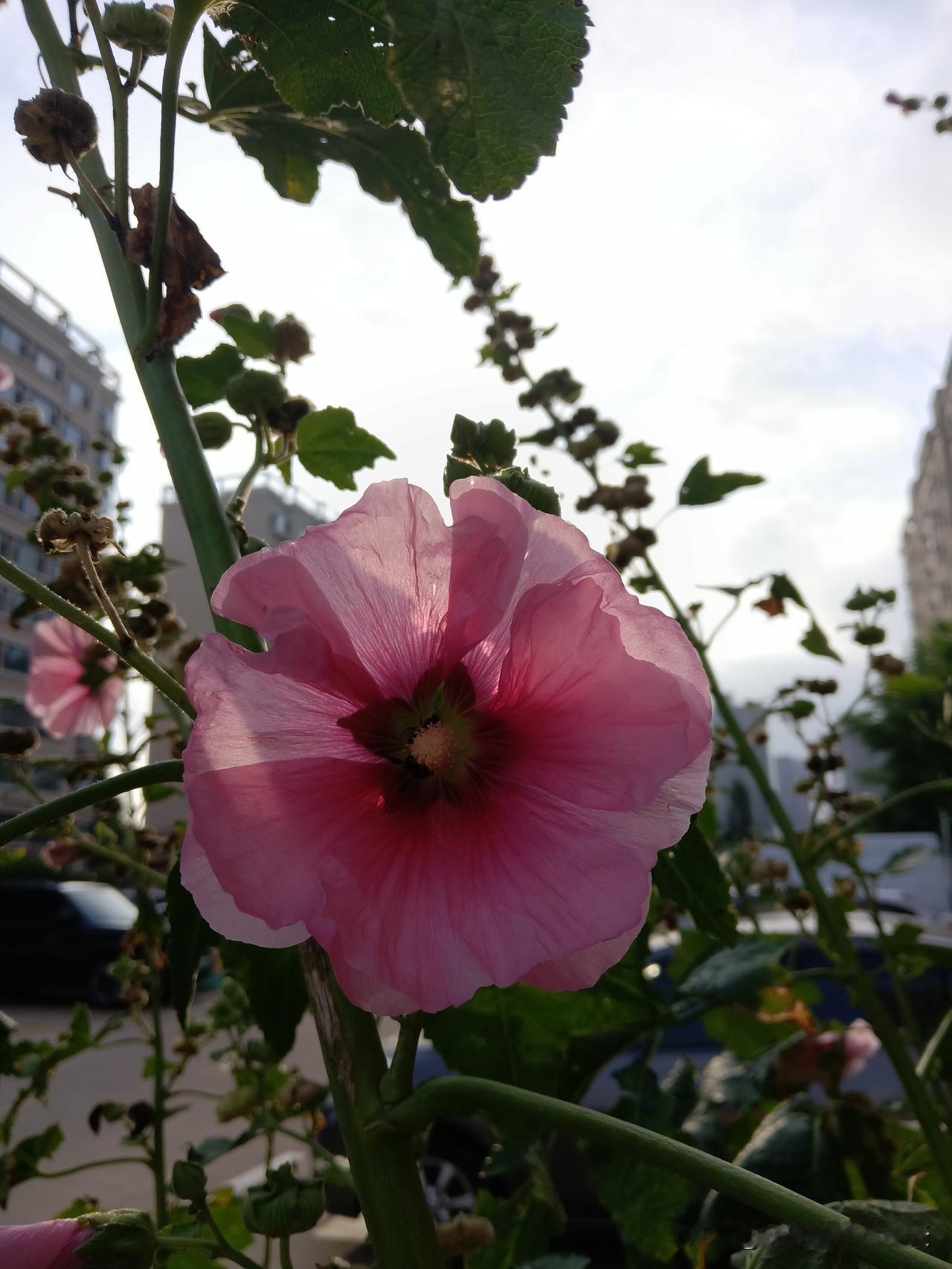 买楼的十大口诀：1、一楼，不能买，太潮湿。2、二楼，不能买，易反水。3、三