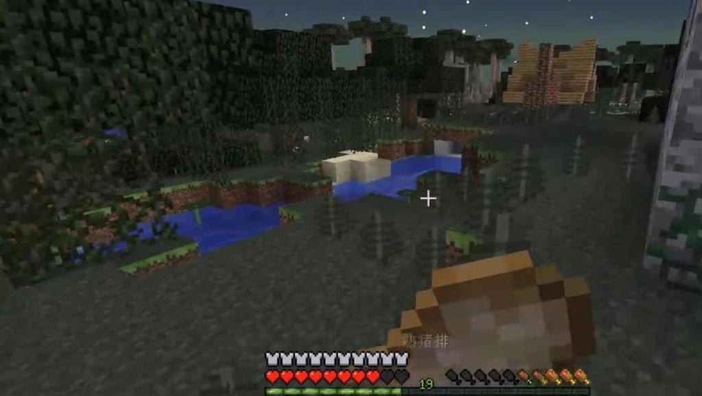 我的世界钻石大陆多人联机(第6集)神器杀猪_土
