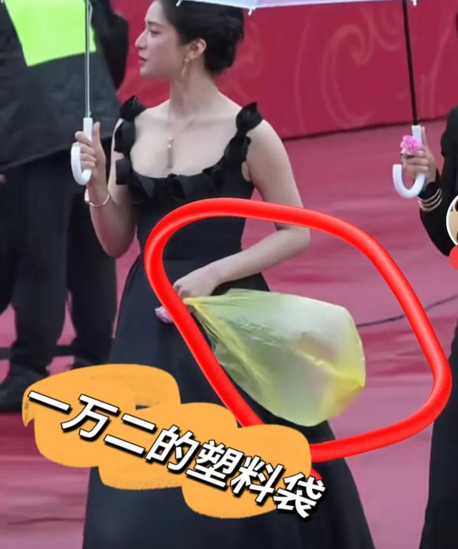 原来巴黎世家从来都不挣贫穷人的钱，挣的都是大款的钱。这位女明星走红地毯的时候，手