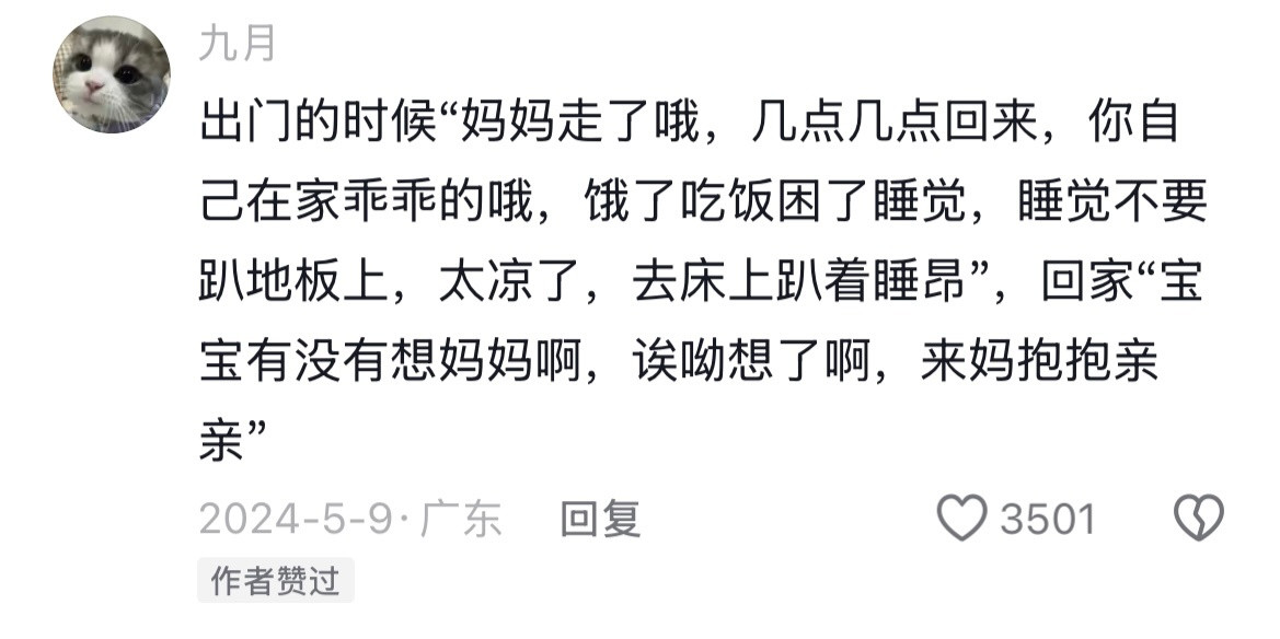 忽然发现饲养小猫其实是一次最小剂量的"为人父母体验”