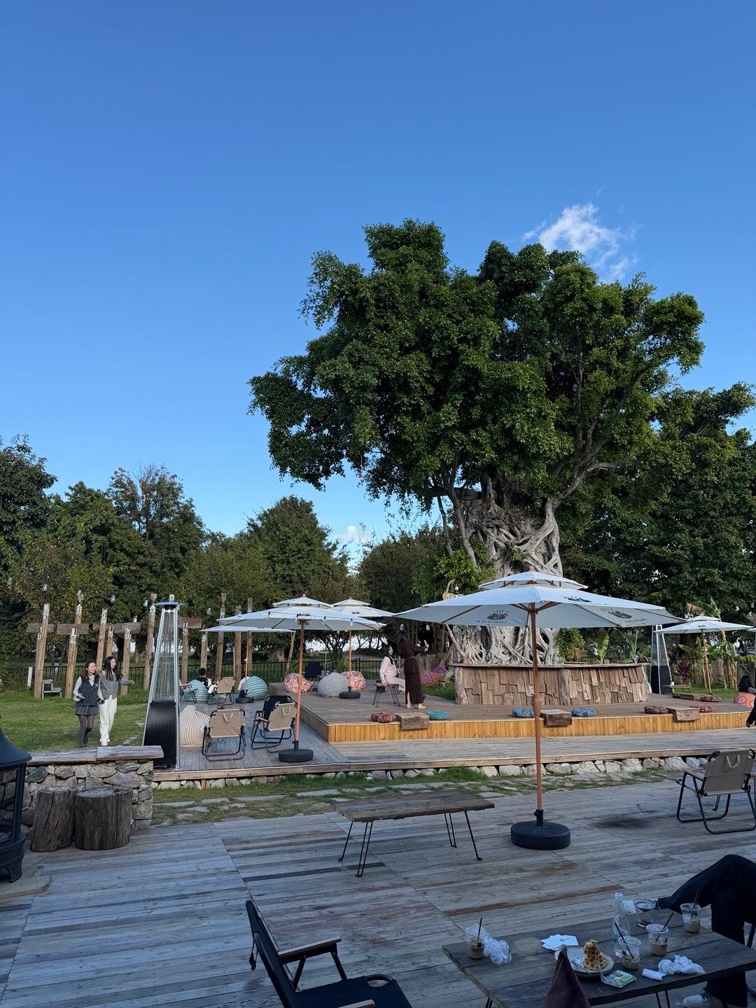 又发现一家宝藏咖啡店