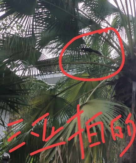 真有点后怕了，去过三亚好多回，但是从没想到会出人命