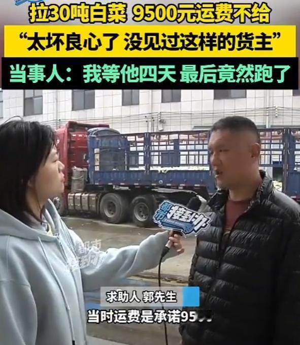 脸都不要了！11月9日，河南，一男子从内蒙订了30吨白菜，并承诺到时给货运司机9