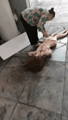大娘“割塑取铁”吓坏路人说实话,乍一看,我都被吓了一大跳!大娘,你不带这