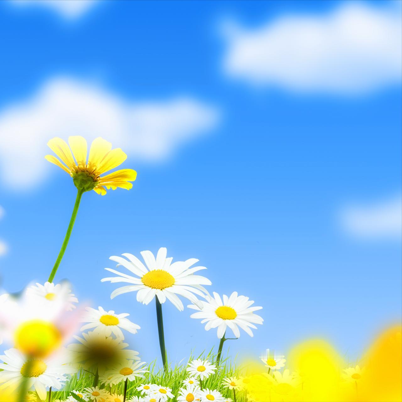 教育孩子，记得以下几句话少说：1、欺骗的话少说否则你的孩子不仅不相信父母