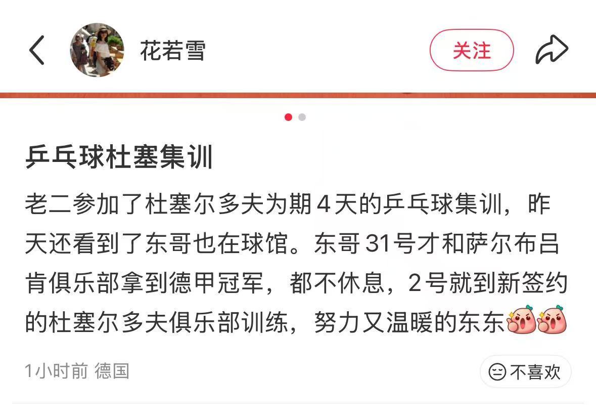 樊振东已到杜塞尔多夫训练大家都在猜他中间空挡的一个月是先回国还是先出去玩看看世界