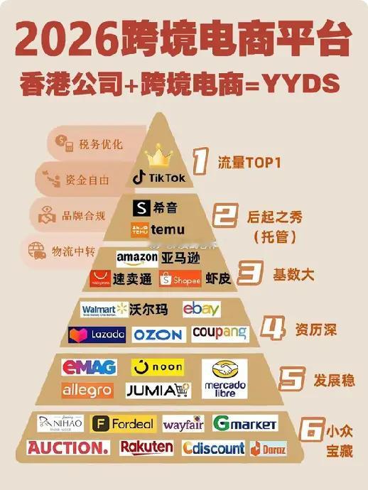 2026年，跨境电商平台的梯队十分分明。TikTok是流量顶流，希音和Temu势