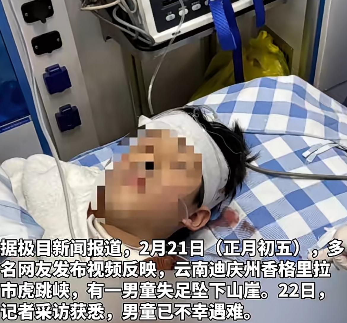 大年初五虎跳峡坠亡的男童，难道不应该追究不负责任的爸爸、奶奶的责任吗？擅自闯入未