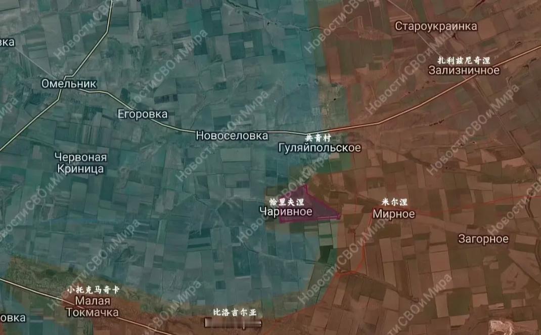 俄军东部集群第35集团军第38摩步旅突击队占领了扎波罗热州古利艾波列西南的恰里夫