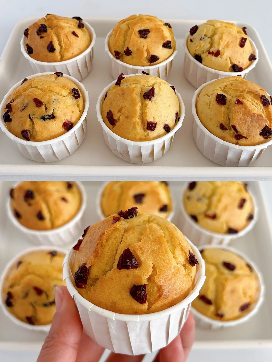 免打发的蔓越莓马芬蛋糕，零失败一次成功