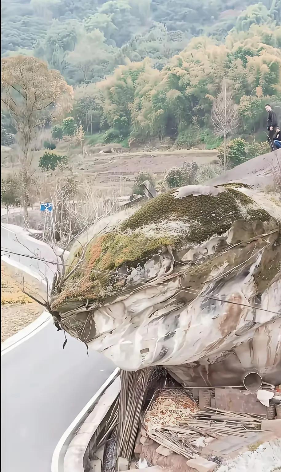 这可不是AI，这是国内某地的一块奇石，能够一眼看出它像什么吗？看出来了，保你长寿