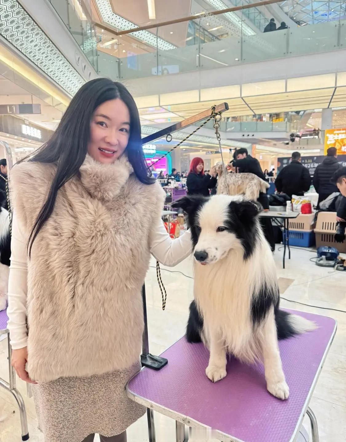 霍思燕杜江是有名的爱犬人士，家里养了很多狗狗，有好多还是收养的。霍思燕这次带来参