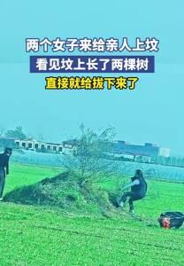 俩大姐去给亲人上坟，瞅见坟头冒了两棵小树，没多想就直接拔了。坟头的草啊树啊，