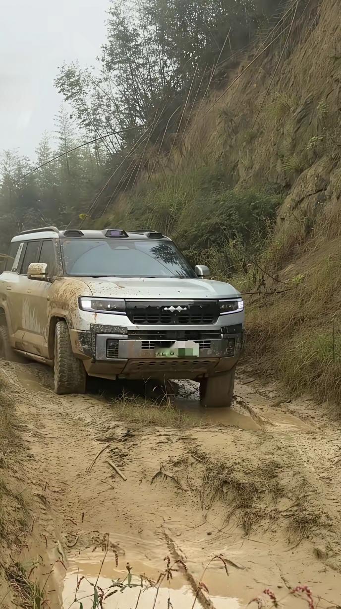 豹8车主:这路也就一般般[捂脸哭]