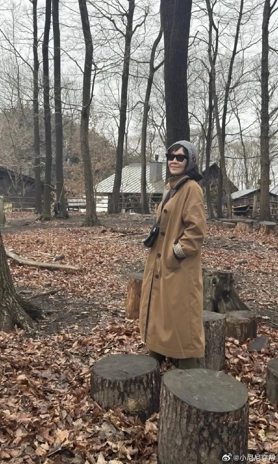 刘嘉玲分享和家人去国外度假，母女俩人坐在木屋前握着手温馨有爱。镜头前60岁的刘嘉