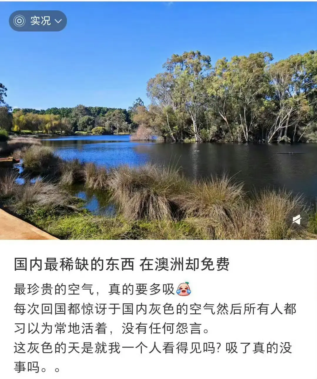 见过舔国外的，没见过这么舔的……