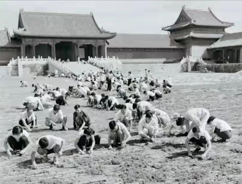这些场面是49年新中国刚建立时，发动7万人，历时9个月，清扫故宫的场景。有网友