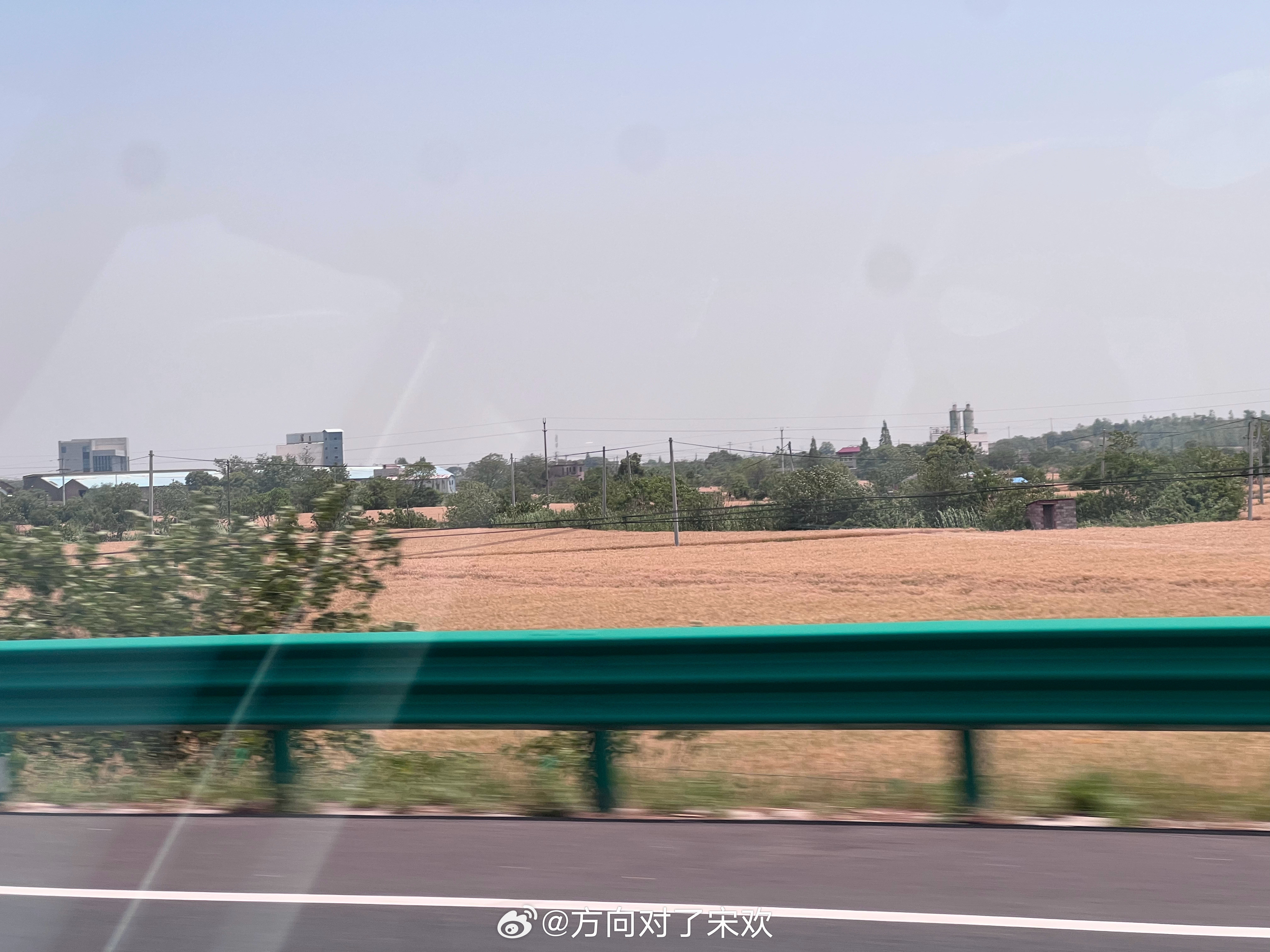 南方的麦子都黄了，看来夏天真的到了我的日常plog​​​
