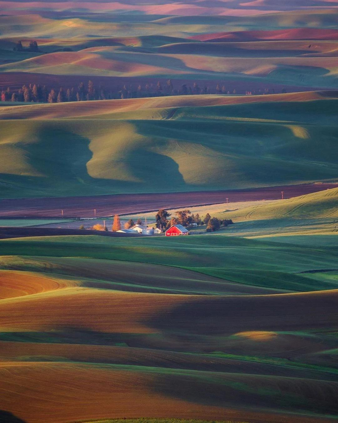 站在上层的角度去看，我肯定会扩大高中和大学的招生规模，因为只有这样，相当于把基本
