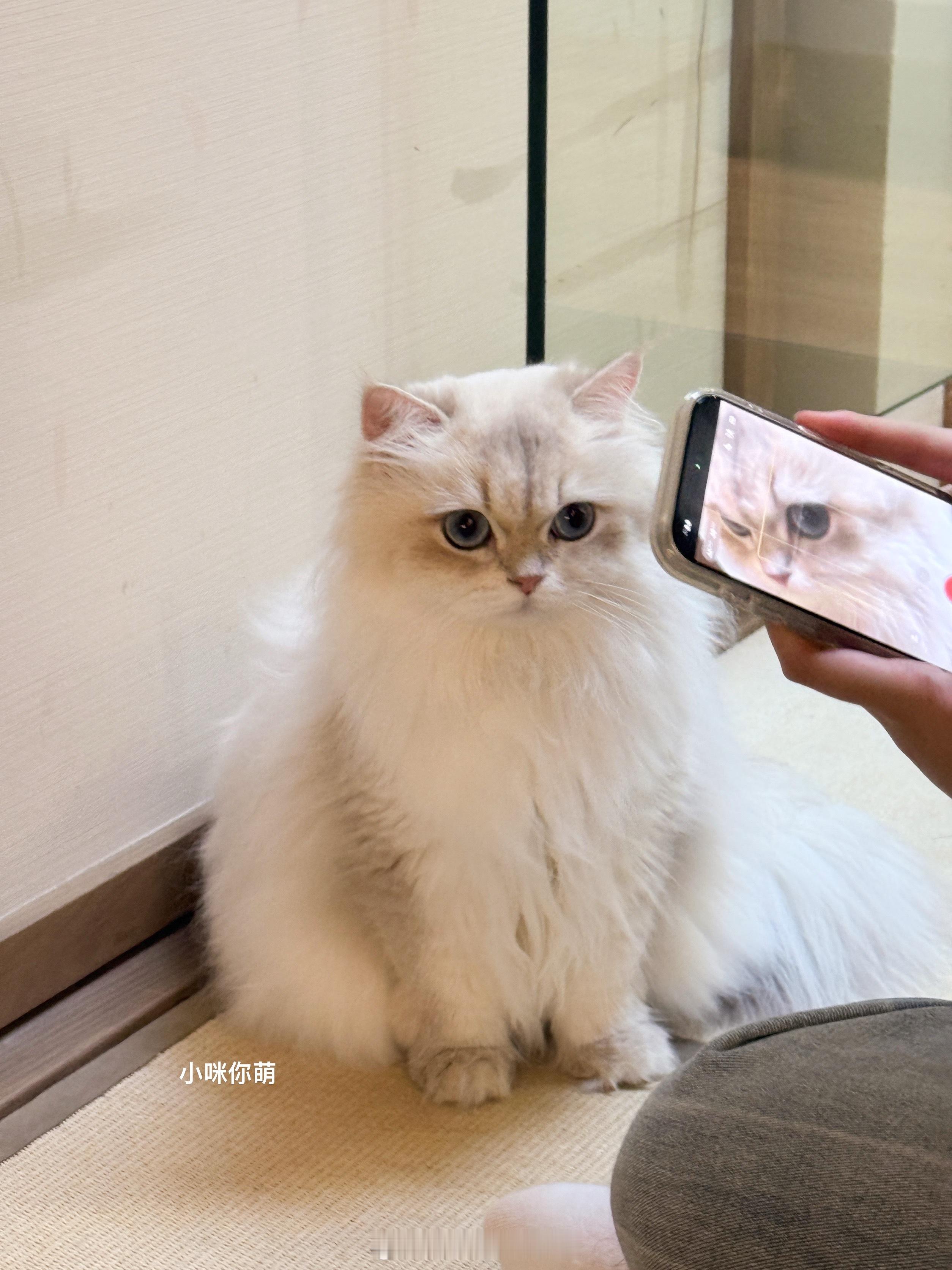 什么叫有点萌你脸都红完了好吧​​​