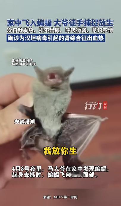 “悲剧还是发生了！”近日，安徽巢湖，一位大爷发现家中进了只蝙蝠，他伸手就去抓，可