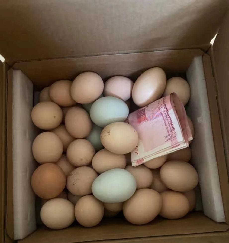 婆婆生日我转1500她收了，走时给兜了几十个土鸡蛋，回家打开我愣住了​昨天婆婆