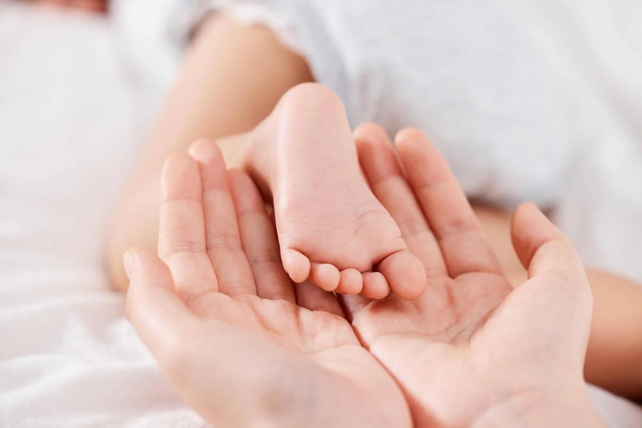 试管婴儿。六六妈是月嫂，她带着两个月的试管婴儿。这年代，试管婴儿不稀奇。