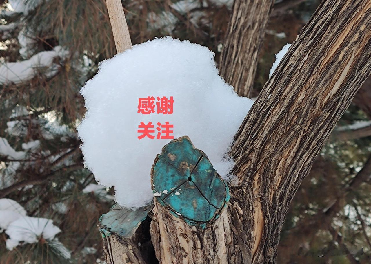 这几天网上有人热议俞敏洪关于“有一半中小学教师不合格”的言论，我以为俞的此番言论