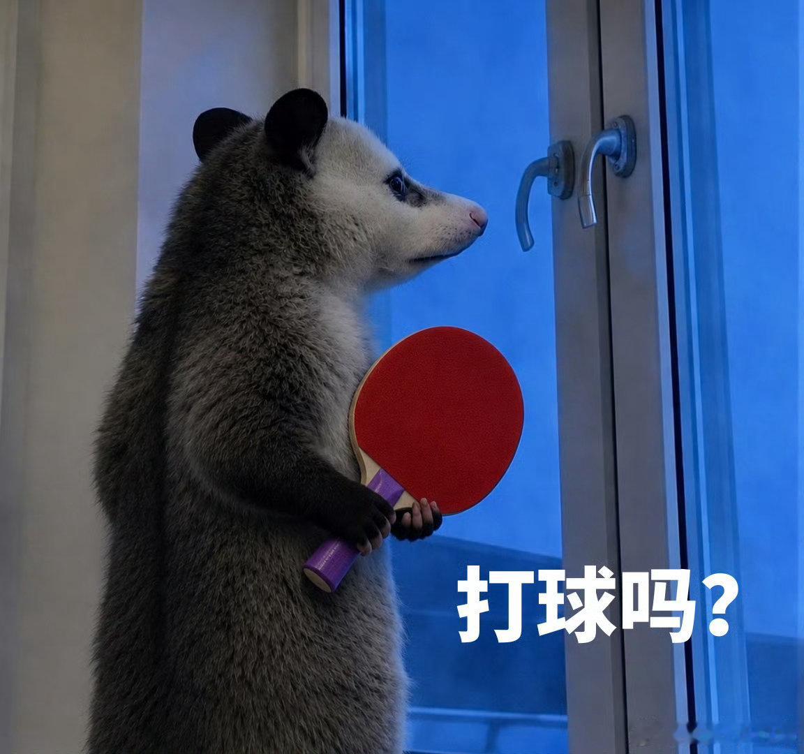 2. 陈梦复刻负鼠表情包负鼠表情包陈梦版陈梦也太会整活了！复刻的负鼠表情包精准