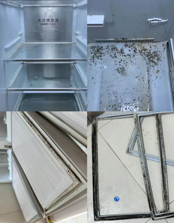 冰箱门封条真菌超标严重! 家中这个卫生死角被忽略了