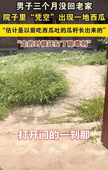 这是意外惊喜！江苏徐州，男子出门三个月后回老家，打开门的那一刹那，眼前一亮，院子
