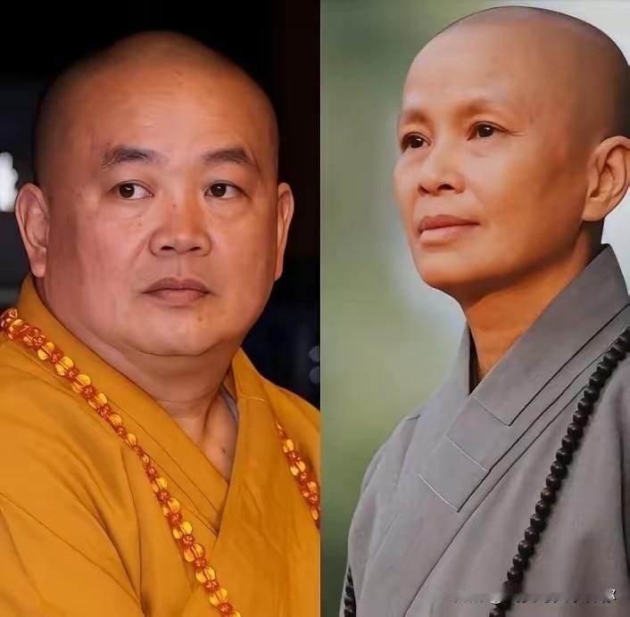 没有对比就没有伤害，释永信一出事，反而让人看清了证严法师这条路有多干净。