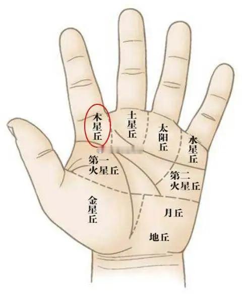 手相手丘看财富手掌上有多个隆起的手丘，每个手丘代表不同的财富信息。木星丘（食指下