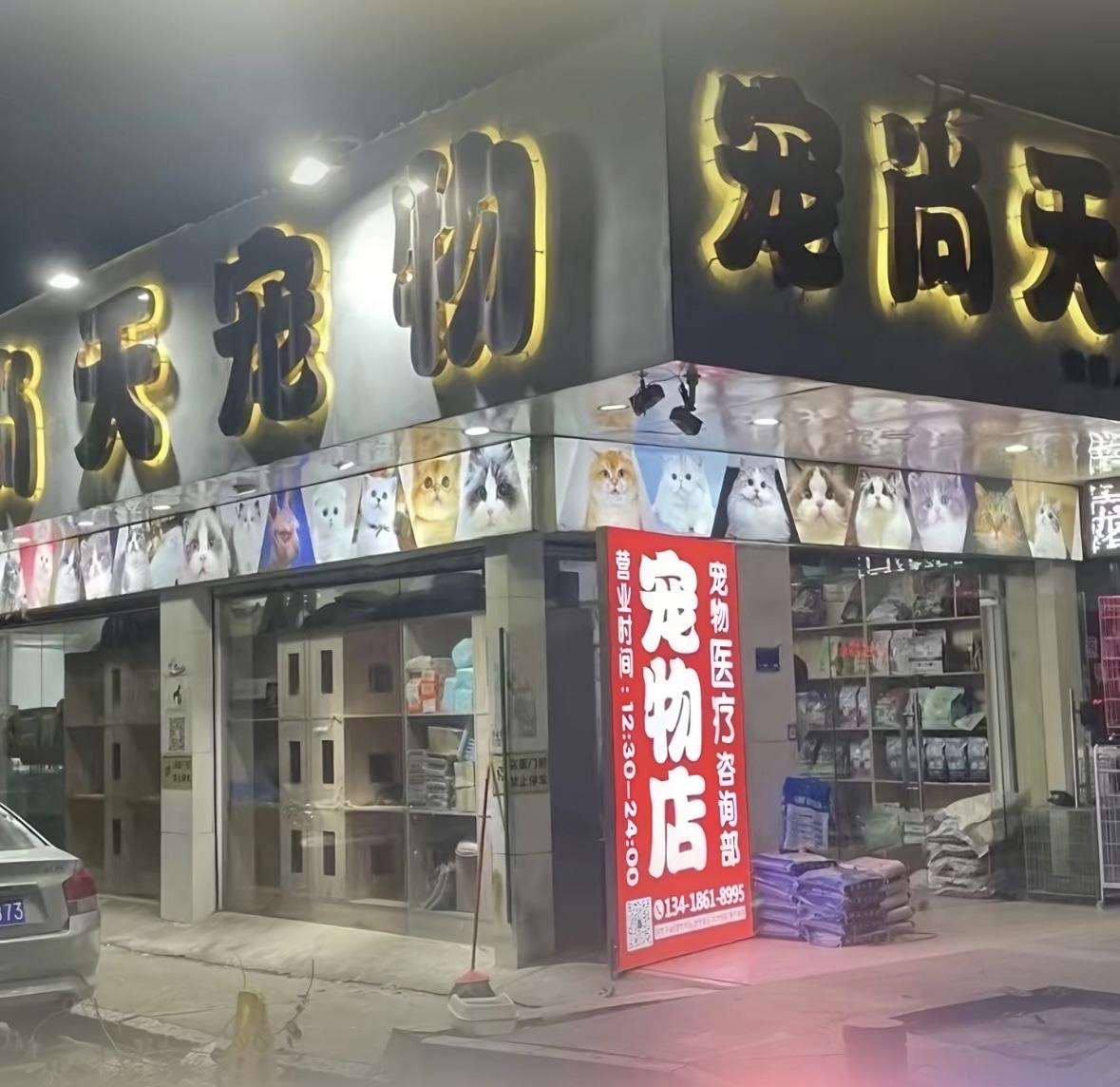 风扇夺命夜：40只宠物无声的警示