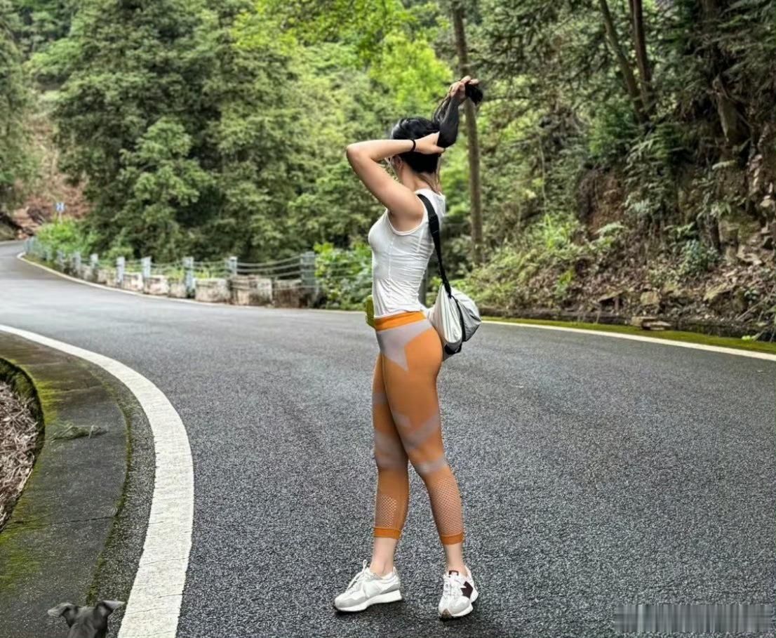 周末爬山系列之平峦山遛狗狗