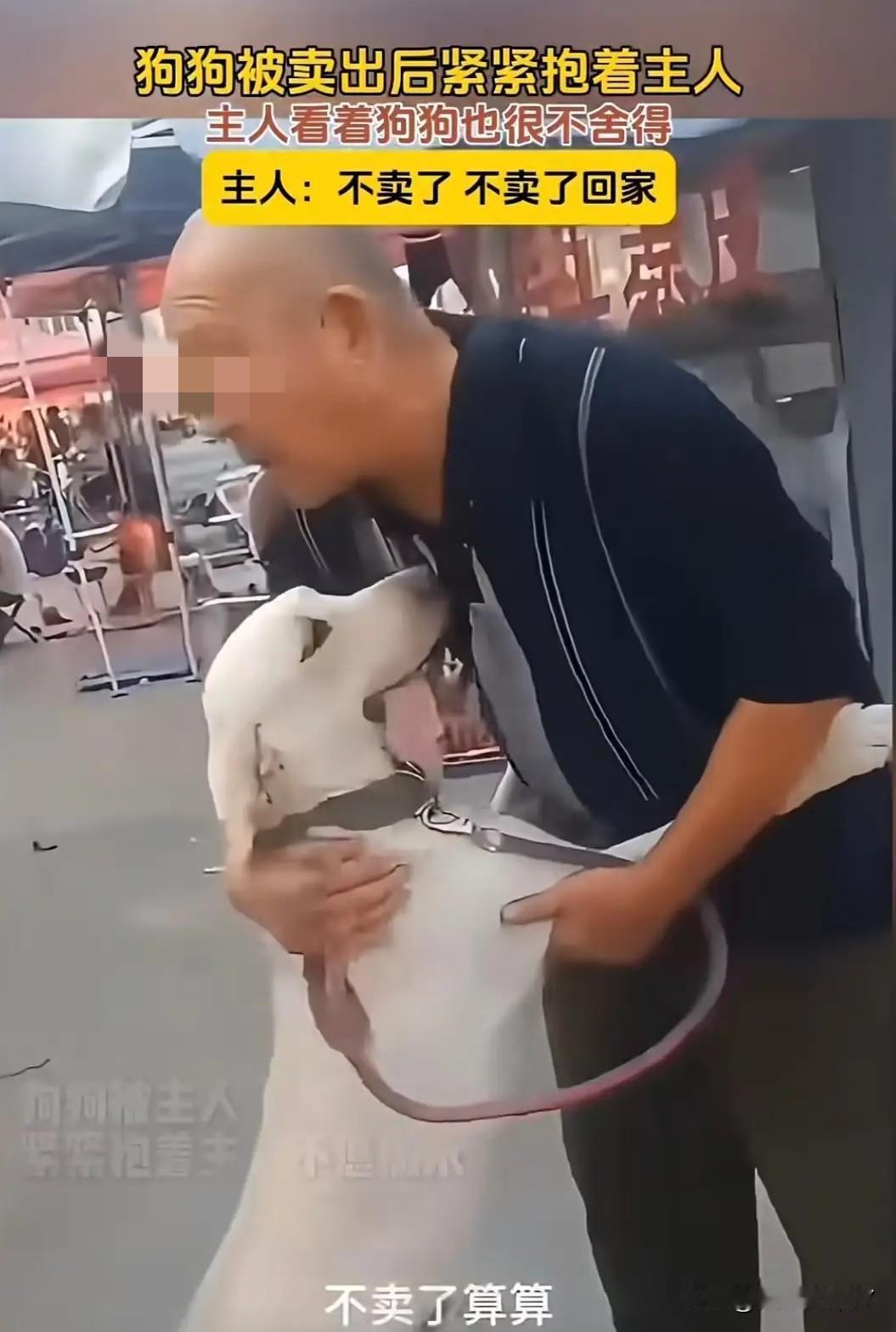 狗市的喧闹里，一声绝望的呜咽突然刺穿人群。男子攥着刚到手的钱，指尖泛白——