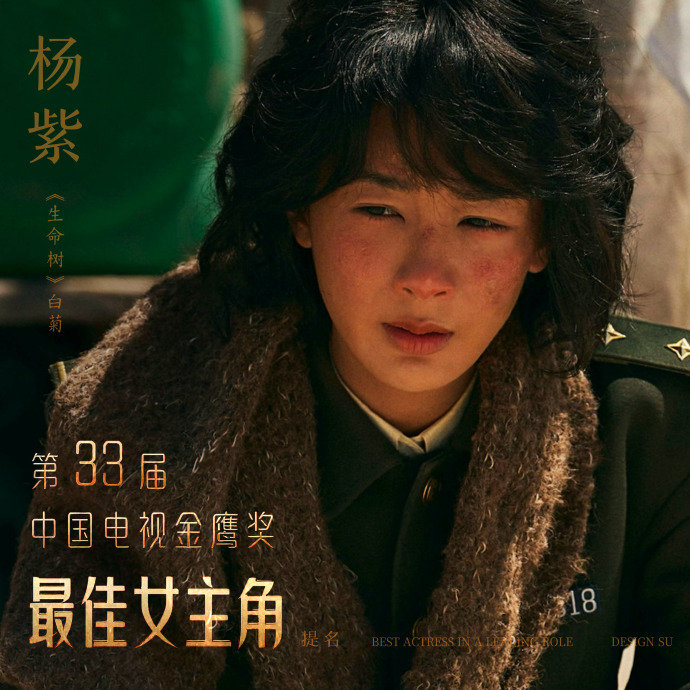 第33届金鹰奖我的预测金鹰奖最佳女主角：杨紫《生命树》白菊​娱乐​​