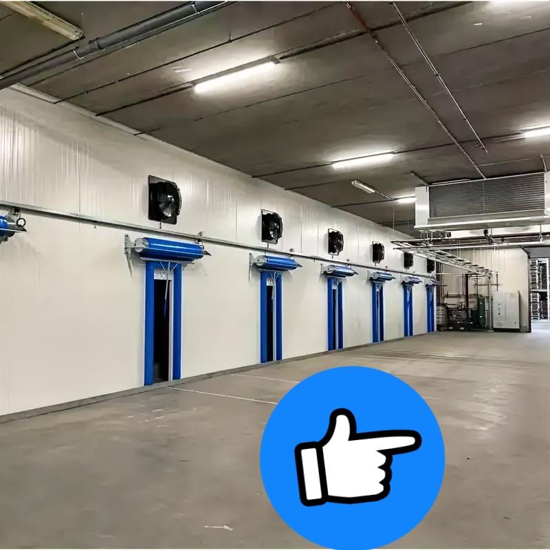 荷兰总部收款东莞赶产！订单抢时间背后藏啥风险？荷兰总公司已经收款，东莞工厂
