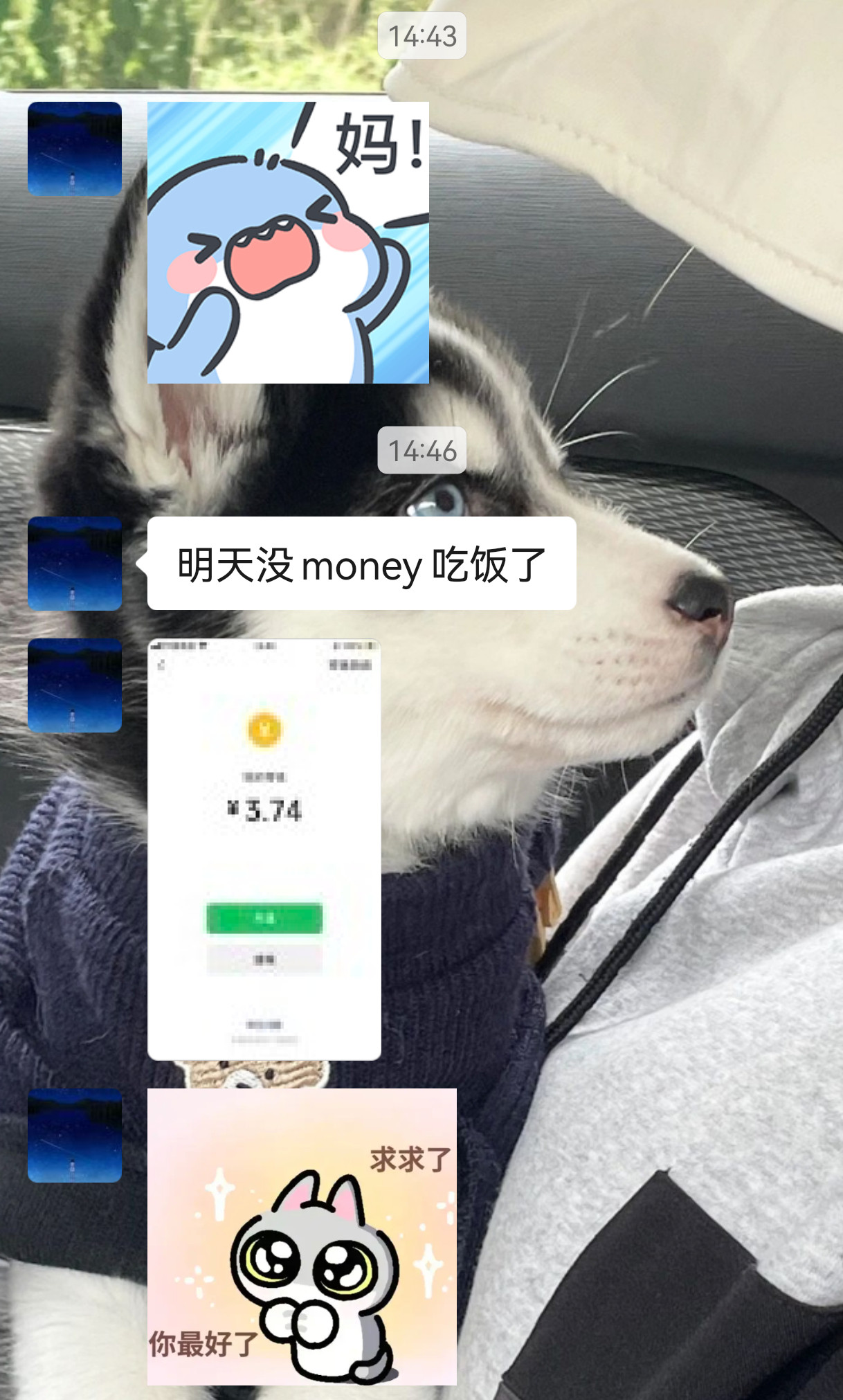 【成长记】笑死我了我女儿这趟旅游，“斥巨资”给同学和队友们买了一堆伴手礼和土特产