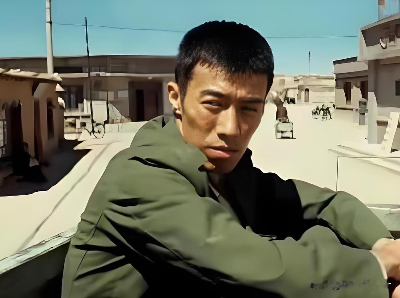 白菊被撞叫人心疼，张扬被害也叫人心疼，可《生命树》里比起这俩人，更叫人心