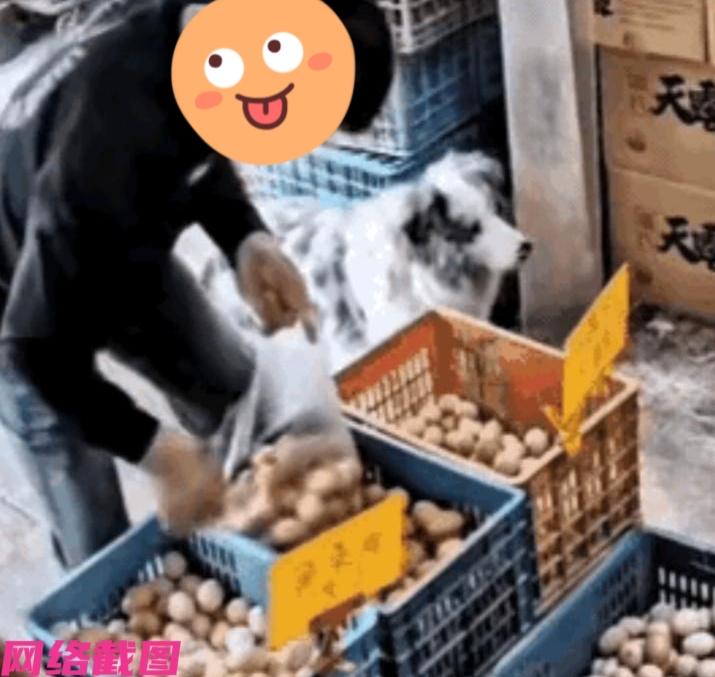 某男子到一家商铺里买鸡蛋，只当男子挑选好后让老板过秤时，男子趁老板没在意，动作之