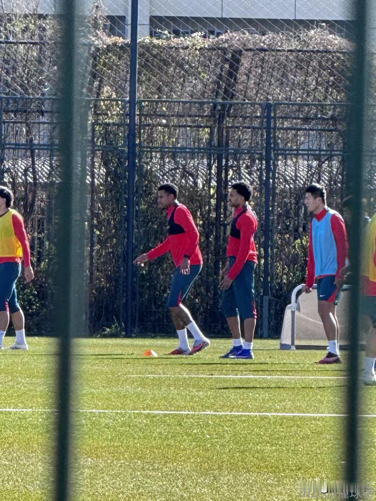 低调中起航，五外援到位，河南队高原集训，虽然在阵容上不是最豪华的，但却是最务实的