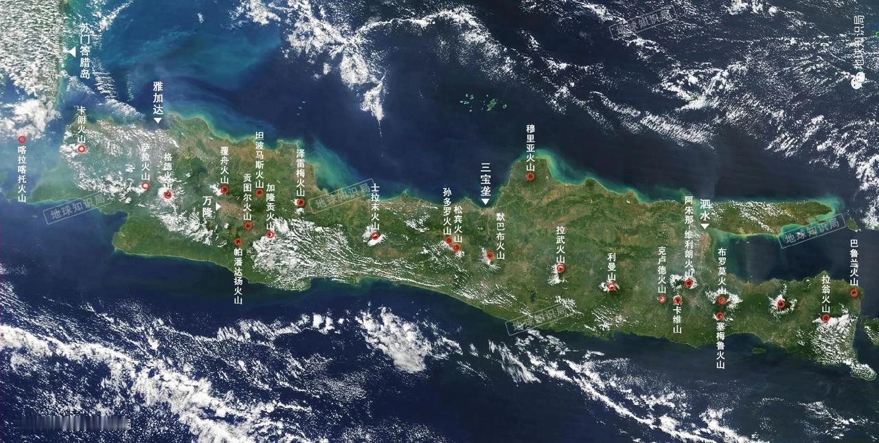 原本以为水稻一年三熟已是极限，没想到还是低估了这个世界的神奇之处。在大多数人