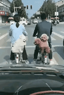 可爱死了，就是不知道是不是真的？刚刚，在网上看到这样一个动图，感觉太可爱了。