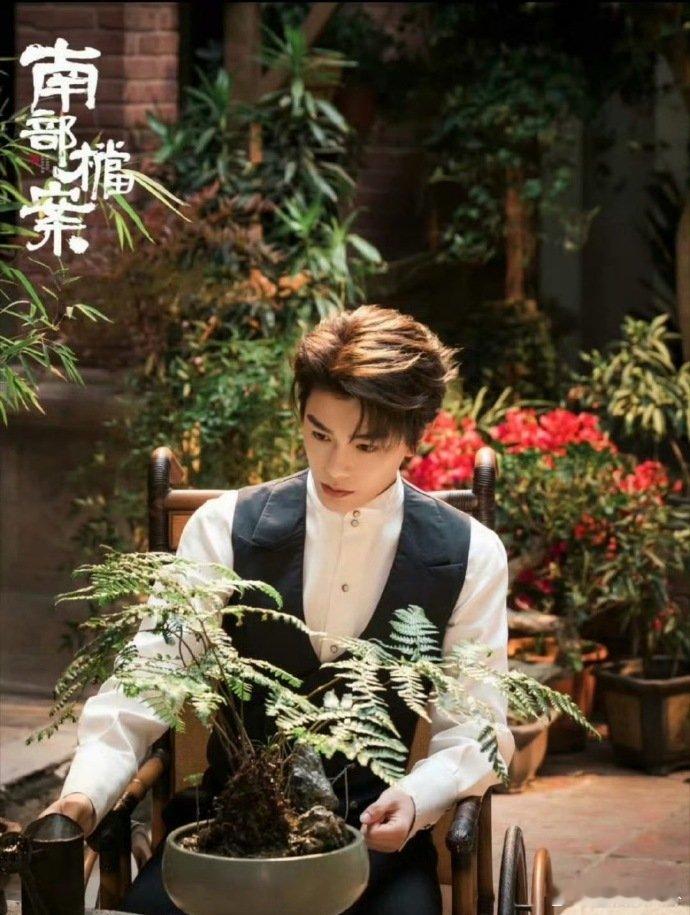 南部档案暂定6月丁禹兮张新成强强联手，《南部档案》暂定6月上线，民国南洋探案