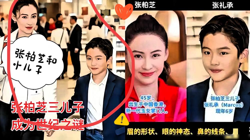 张柏芝这事，总算有个说法了。法院都判了，网上传的那些所谓“亲密照”，就是P的图