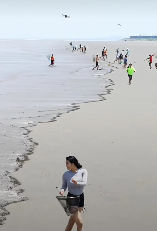 一大波人和一大波人在赶海！一大波人和一大波人在赶海