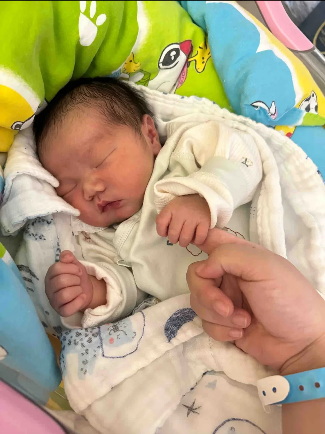 39➕3已生男宝，劝劝没生的姐妹……