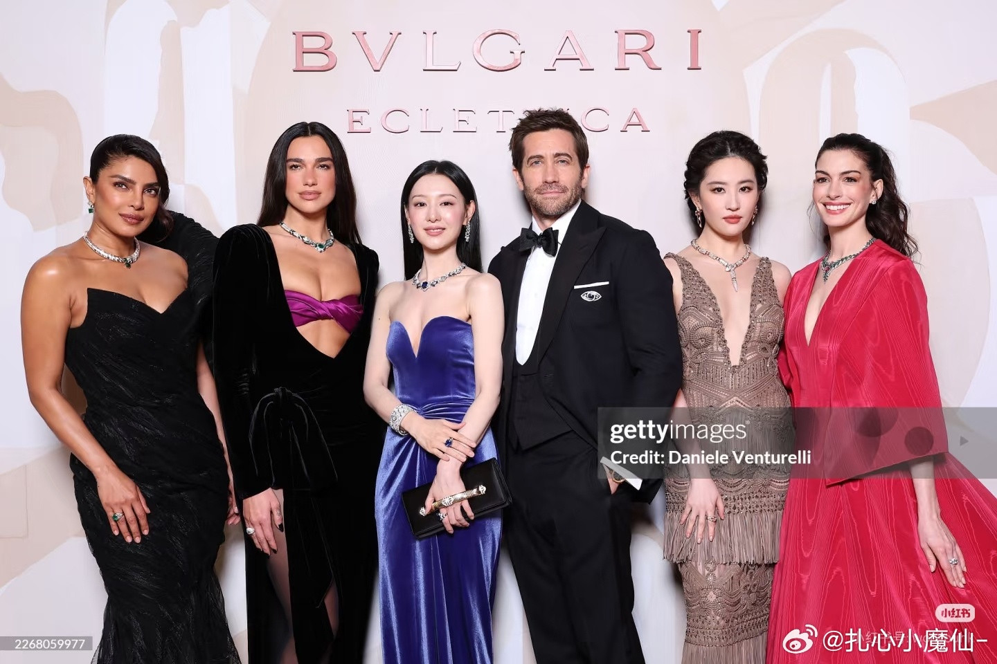 金智媛宝格丽合照直接站C位，她什么来头