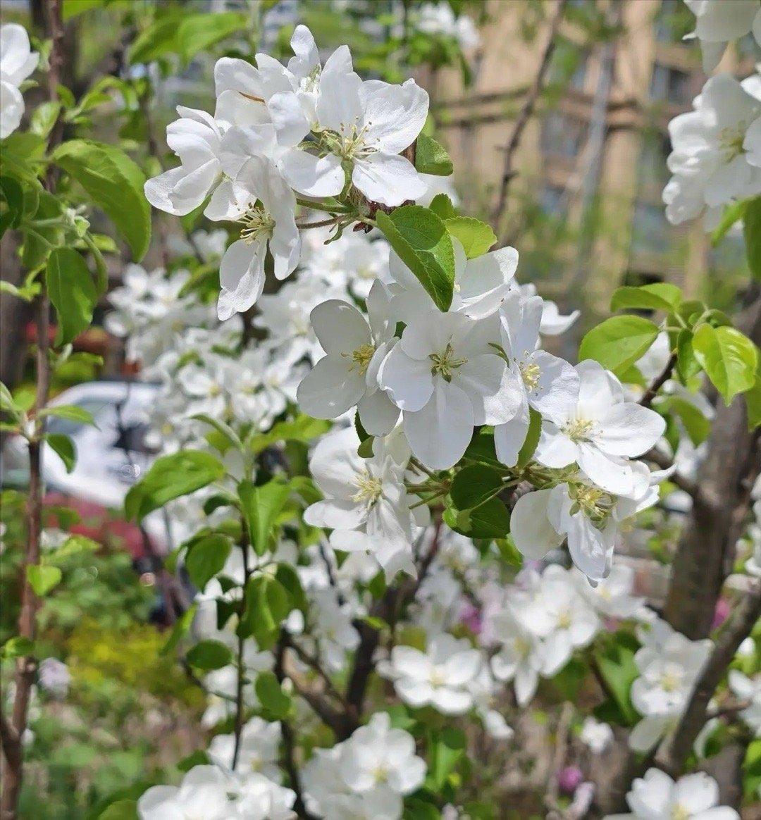 突然想通一件事：很多人压根没意识到，家里一日三餐有人买菜、做饭、收拾，把一家人的